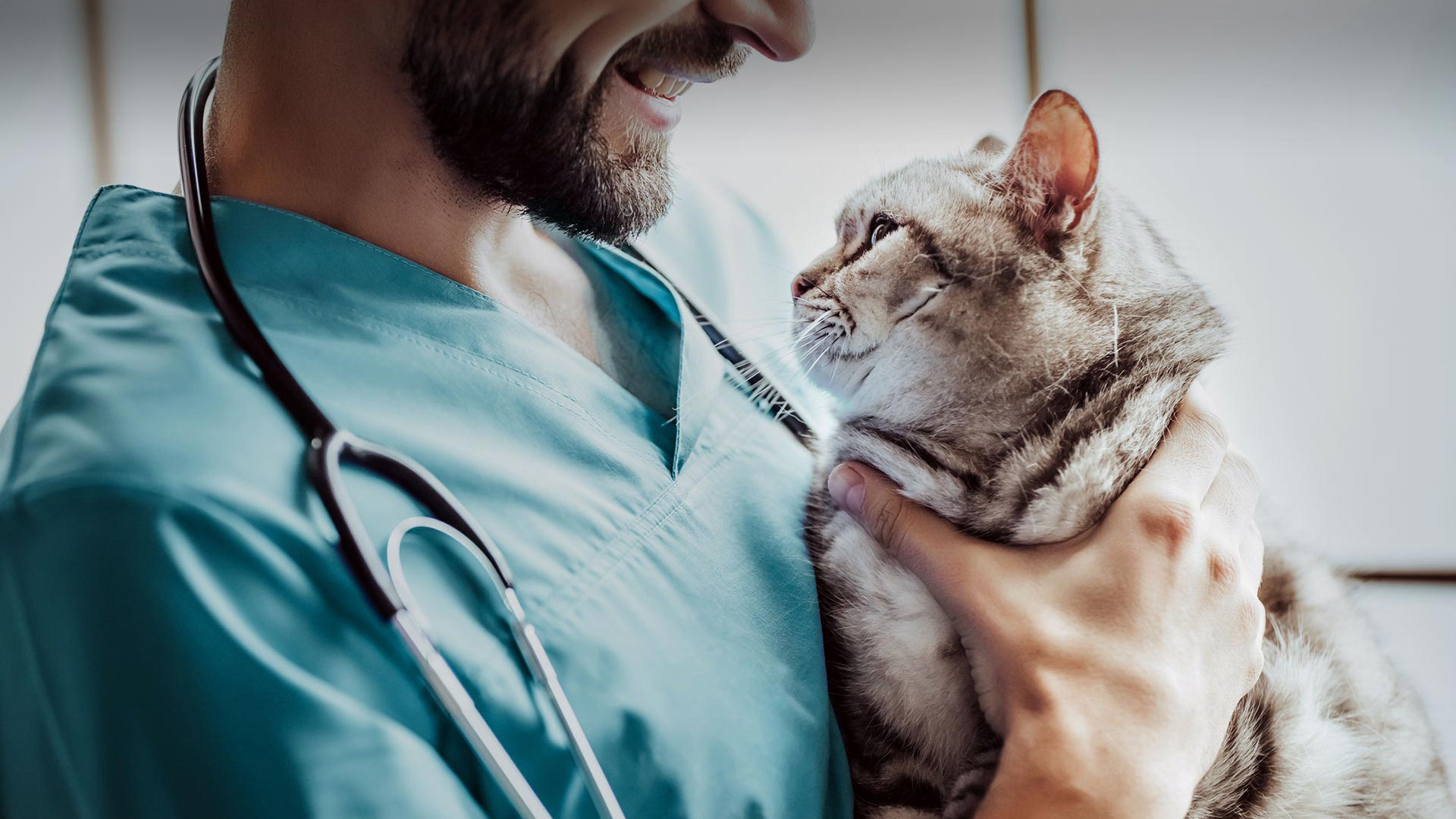 Çamlıhemşin Veteriner